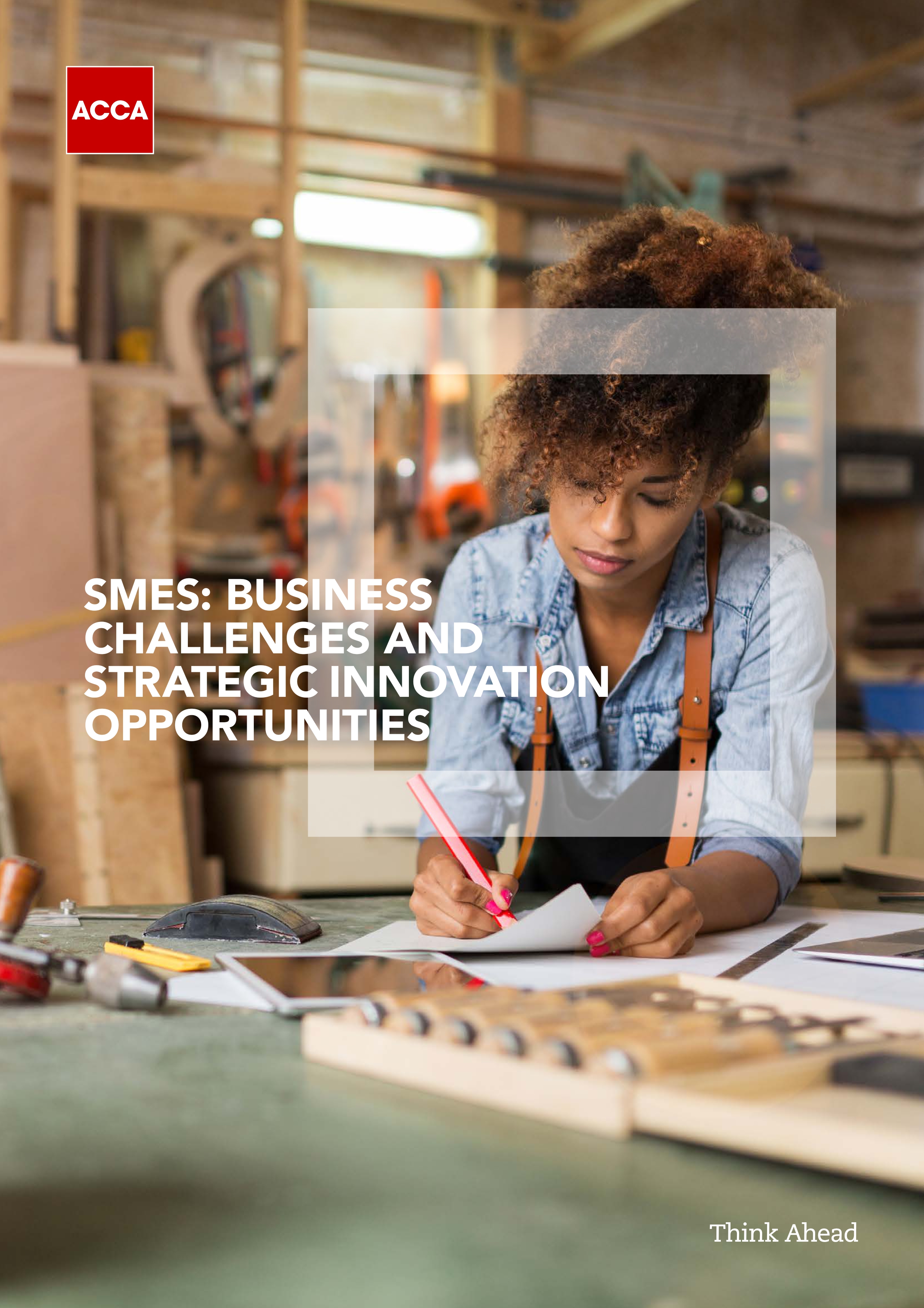 SMES: BUSINESS CHALLENGES AND STRATEGIC INNOVATION OPPORTUNITIES